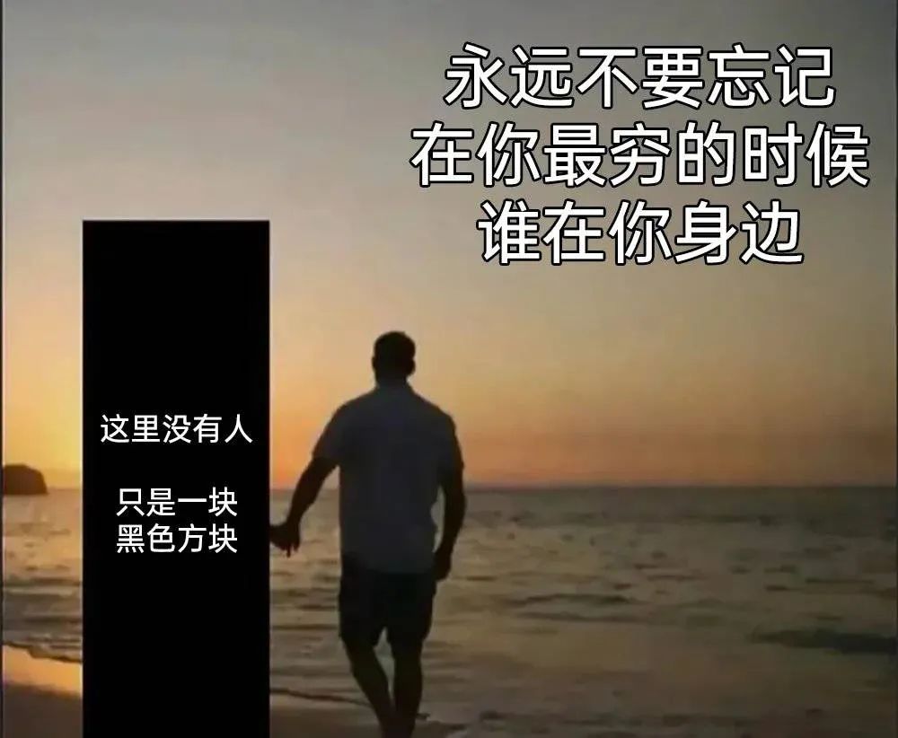 每日meme
