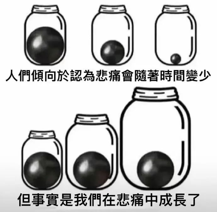 每日meme