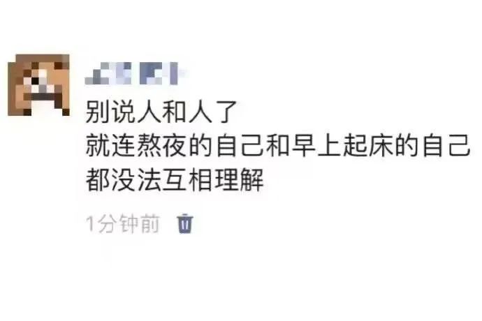 每日meme
