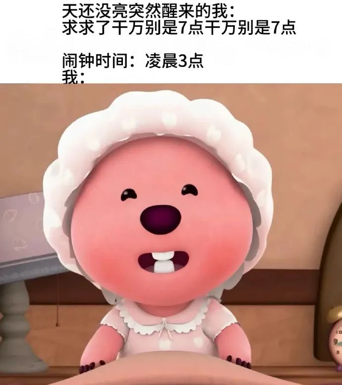每日meme