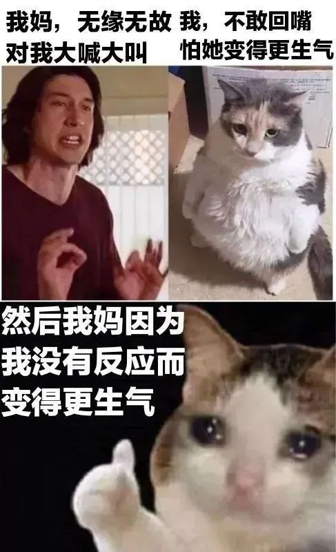 每日meme