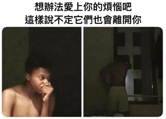 每日meme