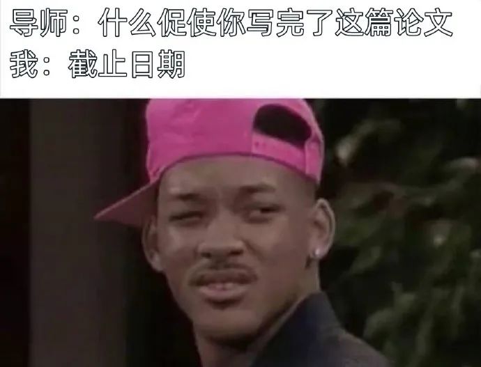 每日meme