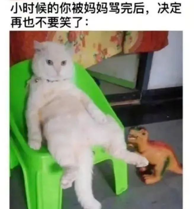 每日meme