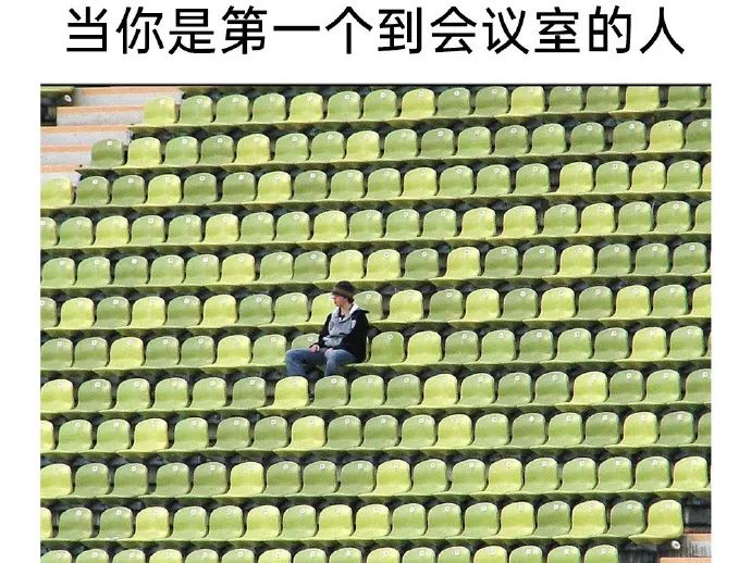 每日meme