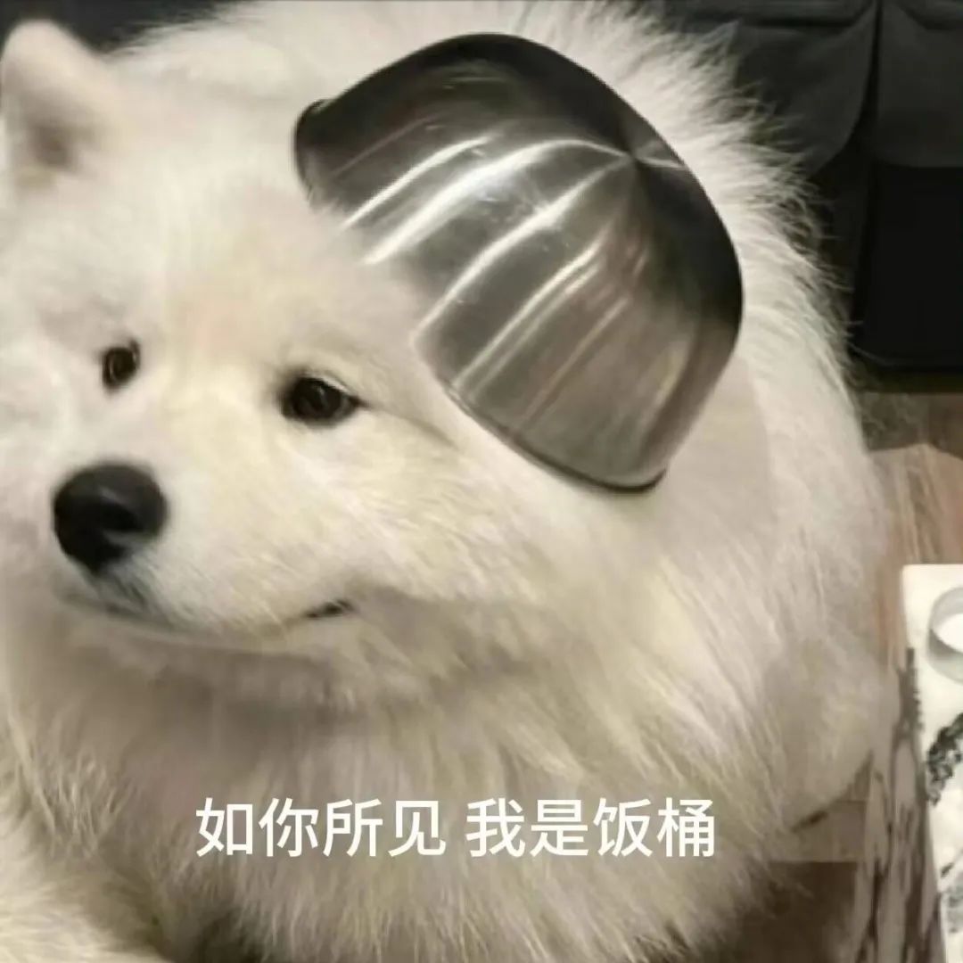 每日meme