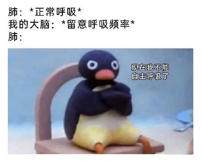 每日meme