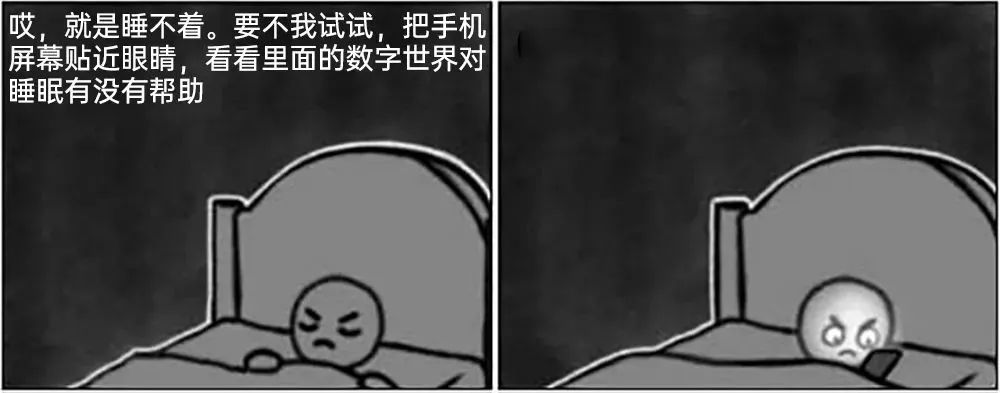 每日meme
