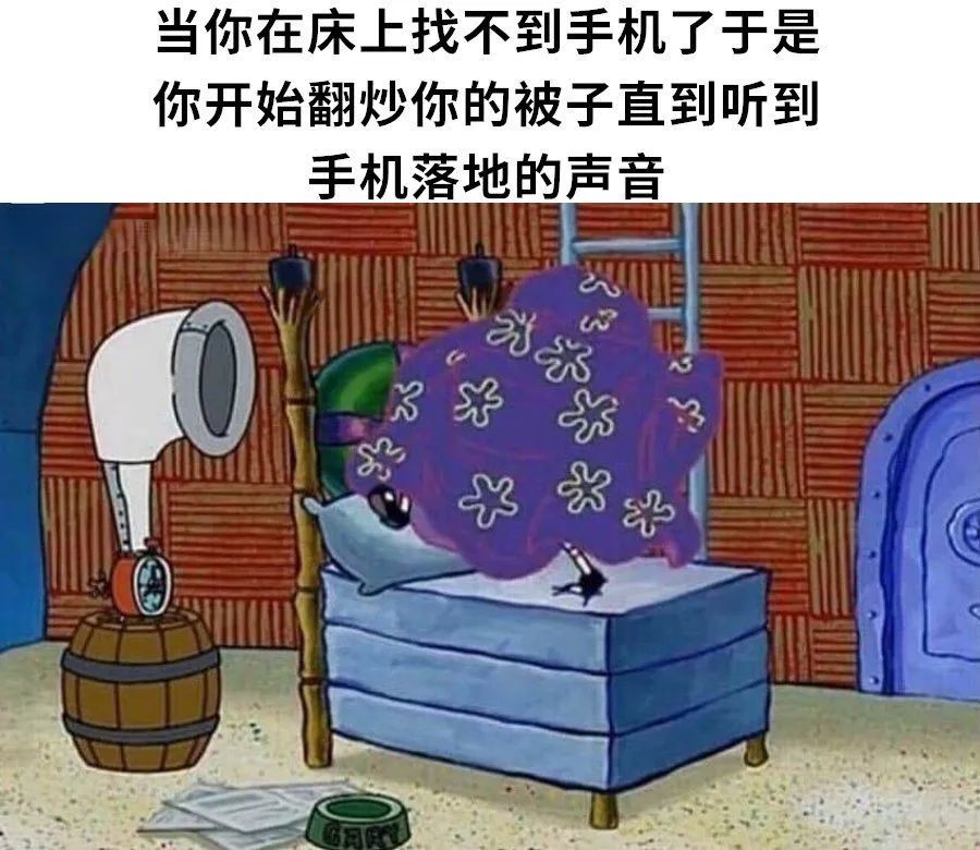 每日meme