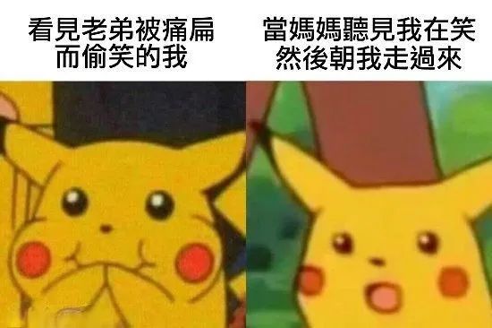 每日meme