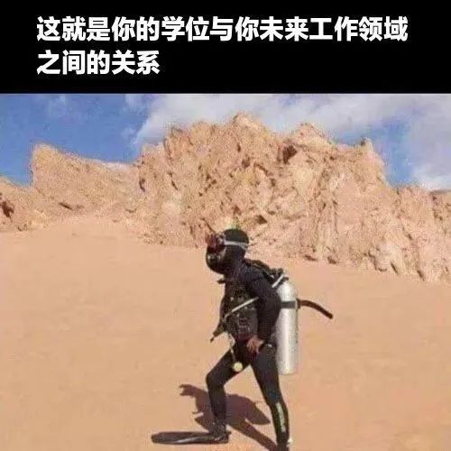 每日meme