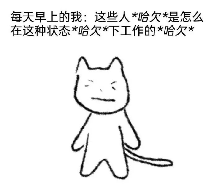 每日meme