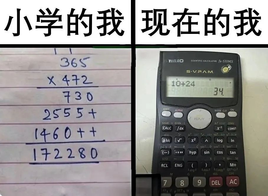 每日meme