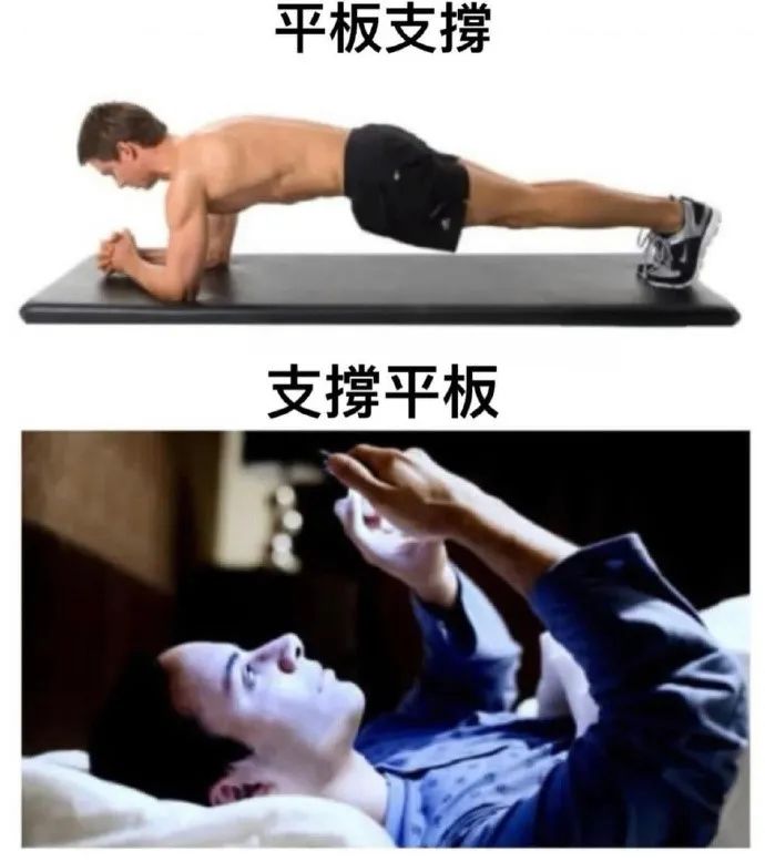 每日meme