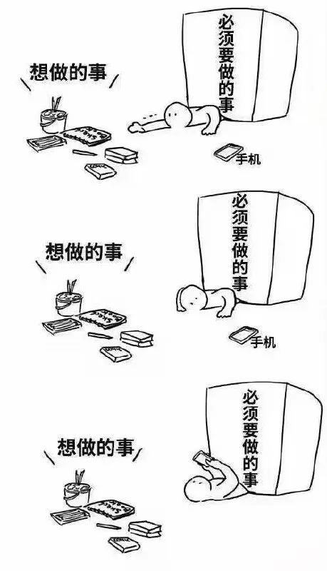 每日meme