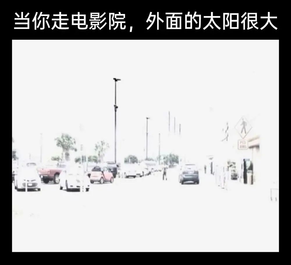 每日meme