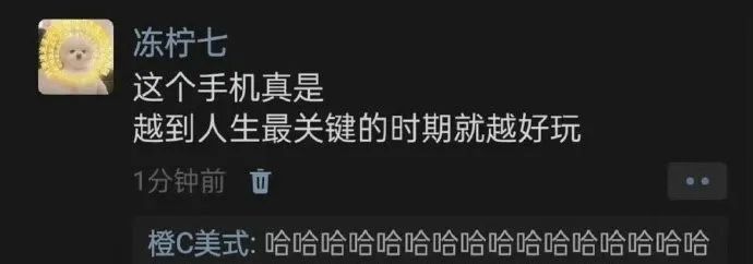 每日meme