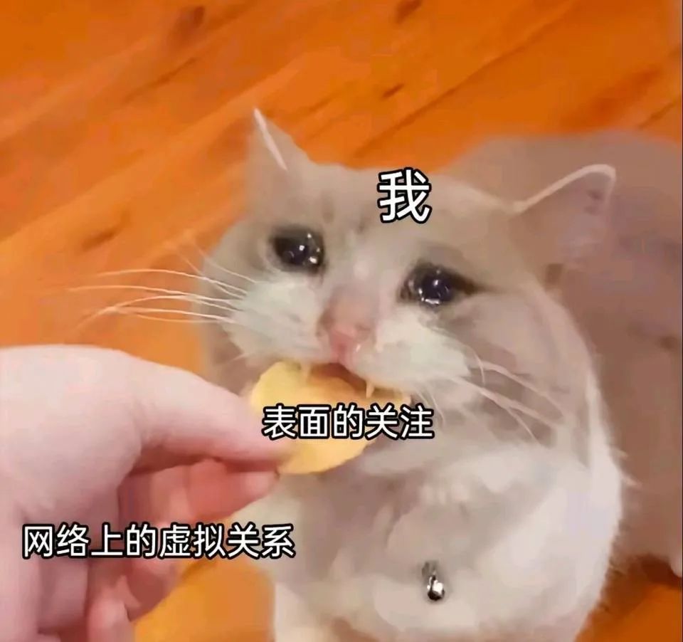 每日meme