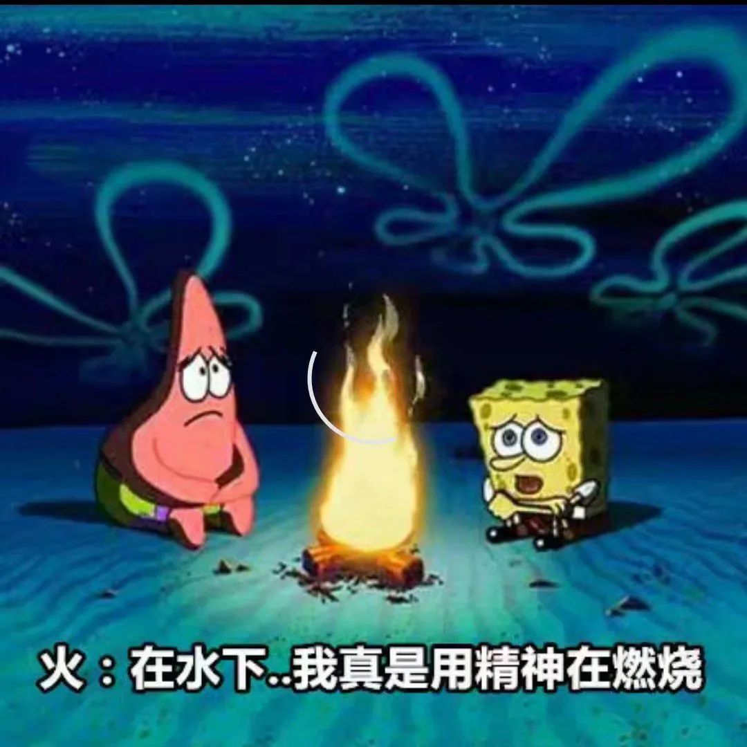 每日meme