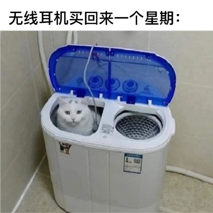 每日meme