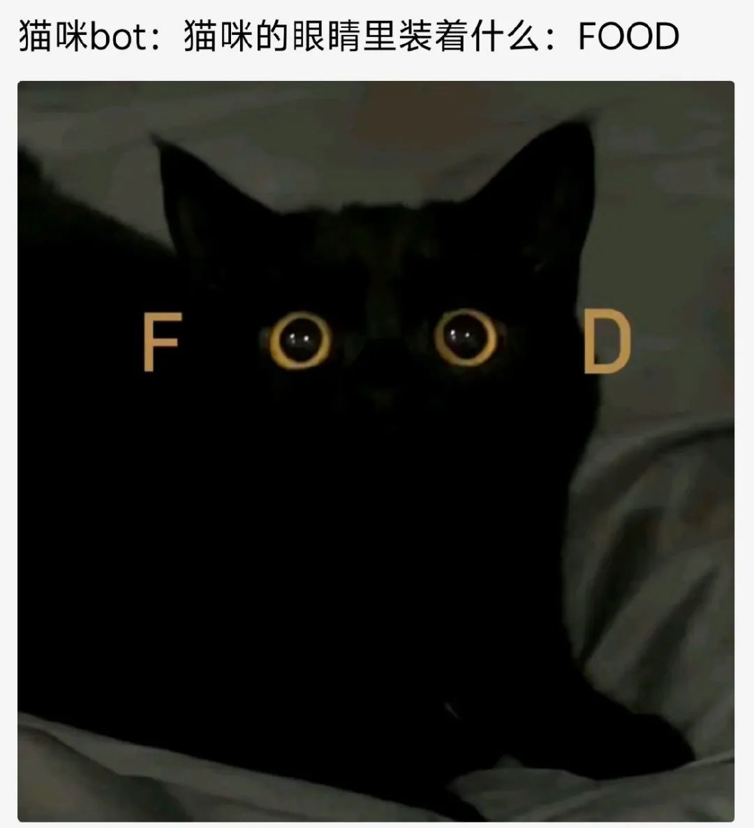 每日meme