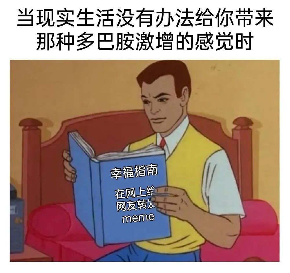 每日meme