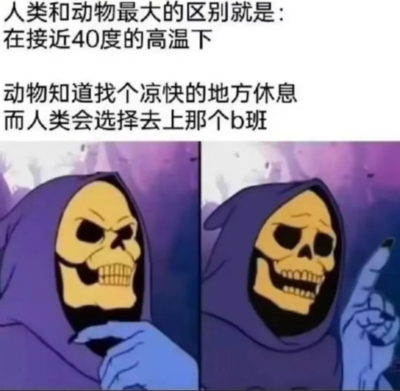 每日meme