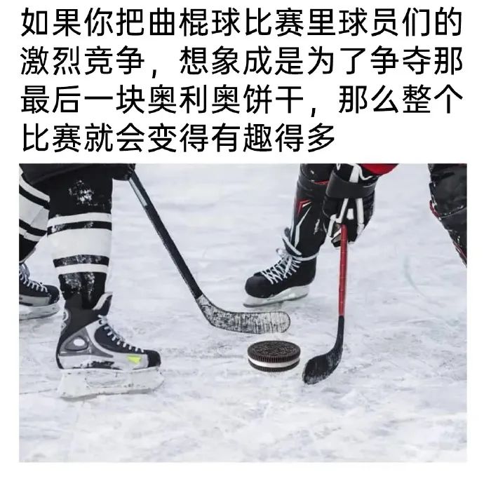 每日meme
