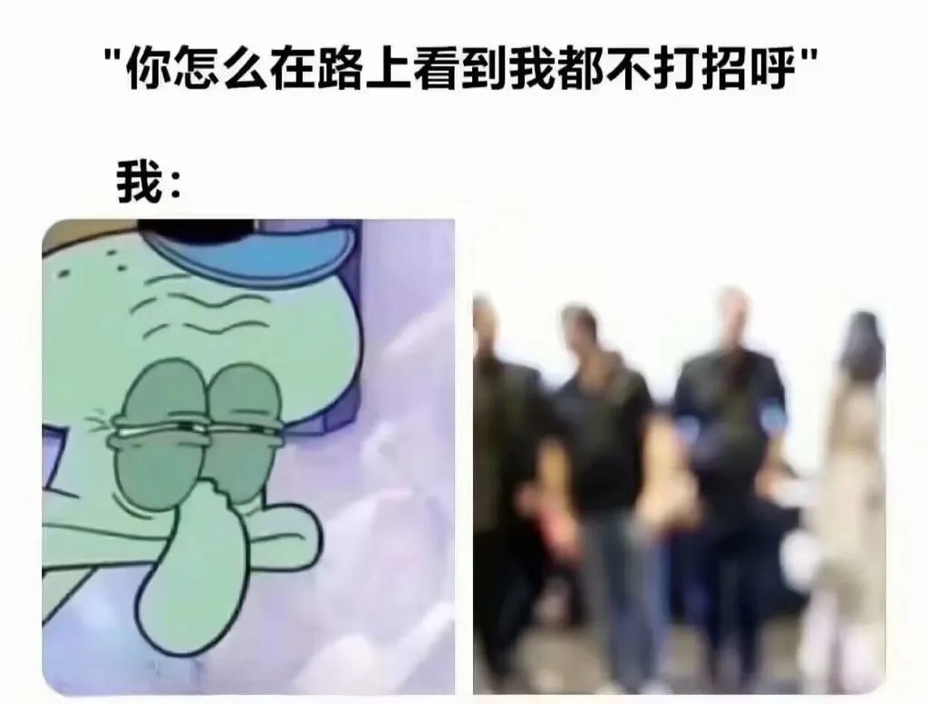 每日meme