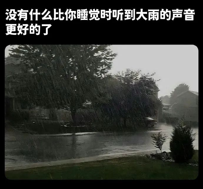 每日meme