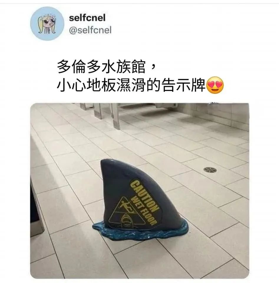每日meme