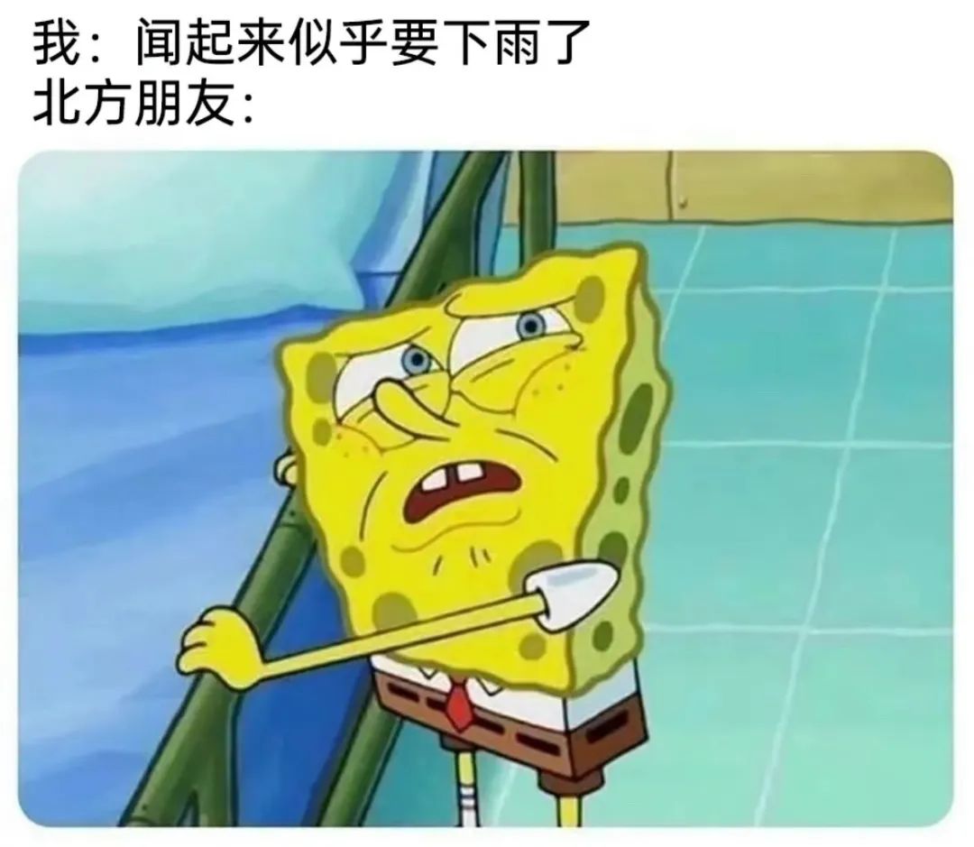 每日meme