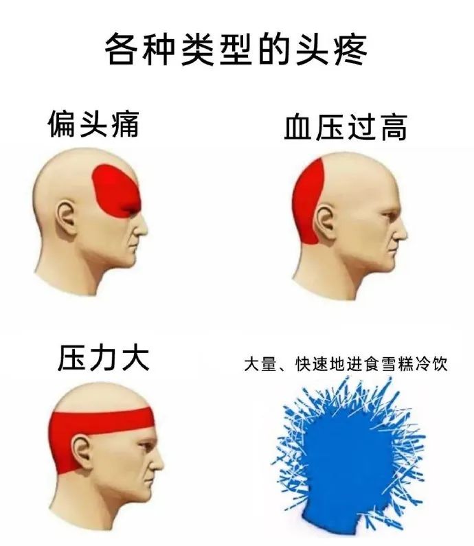 每日meme