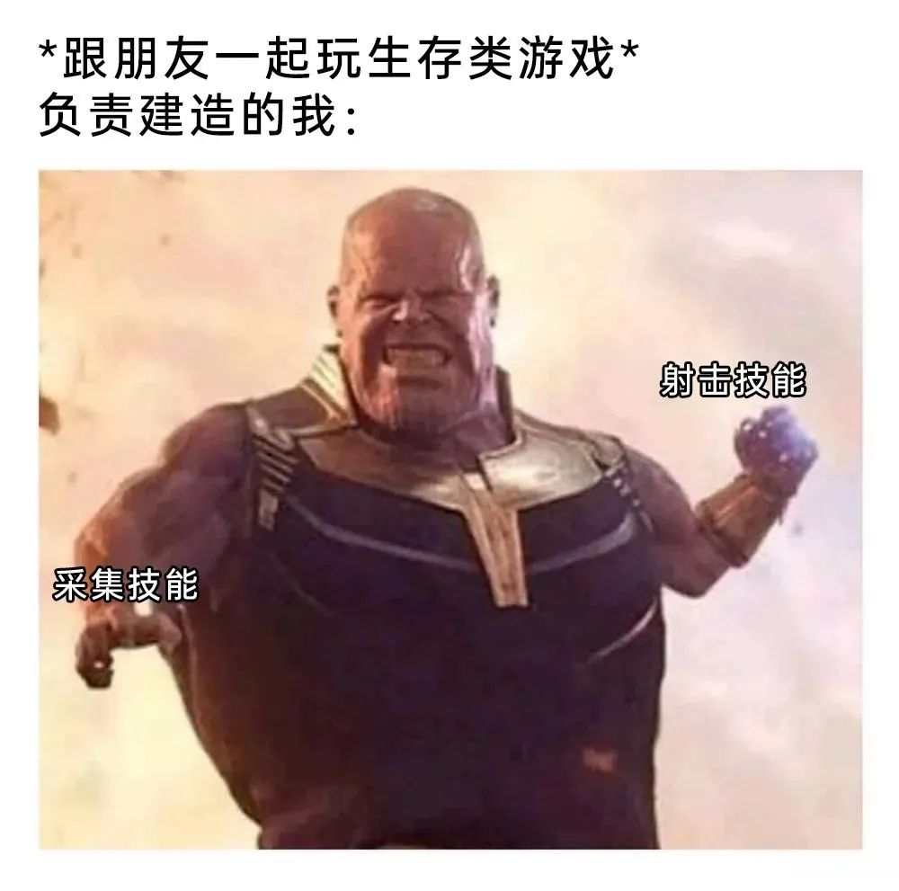 每日meme