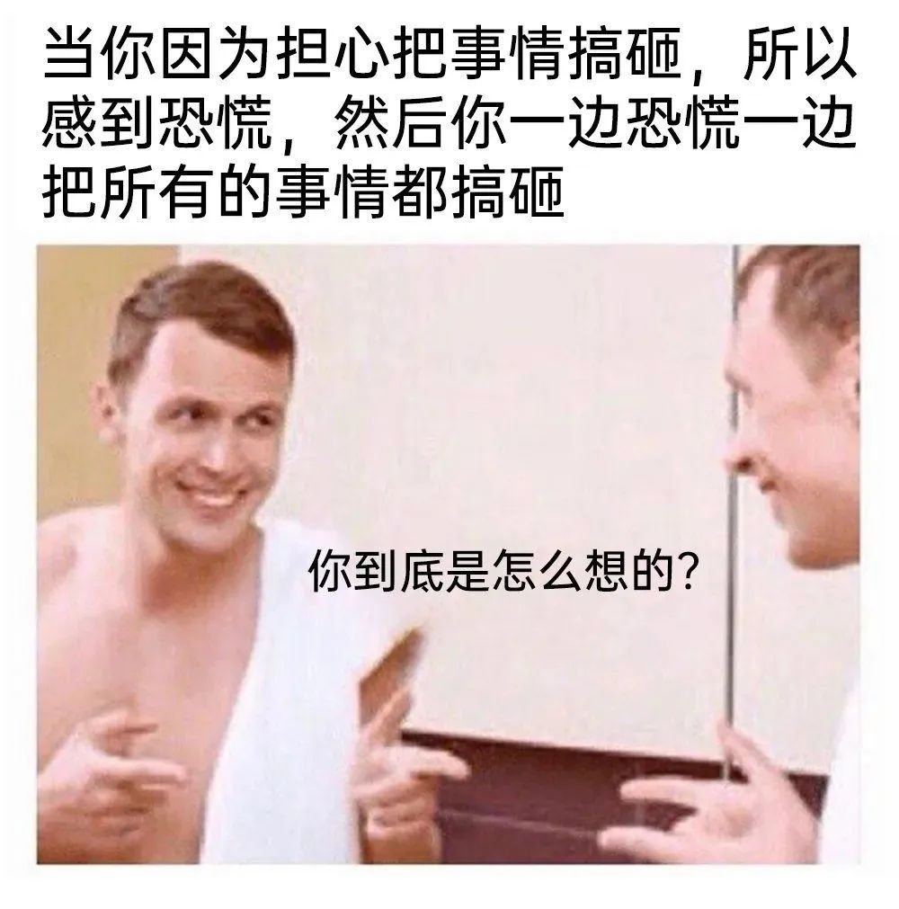 每日meme
