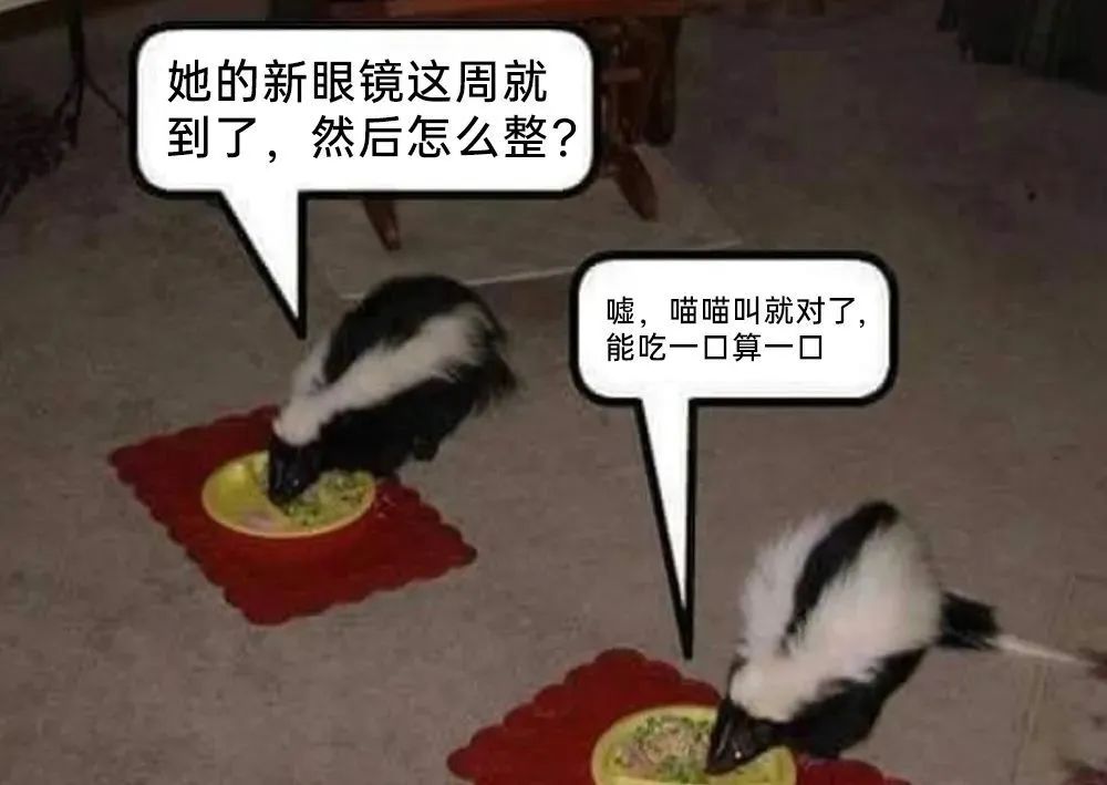 每日meme