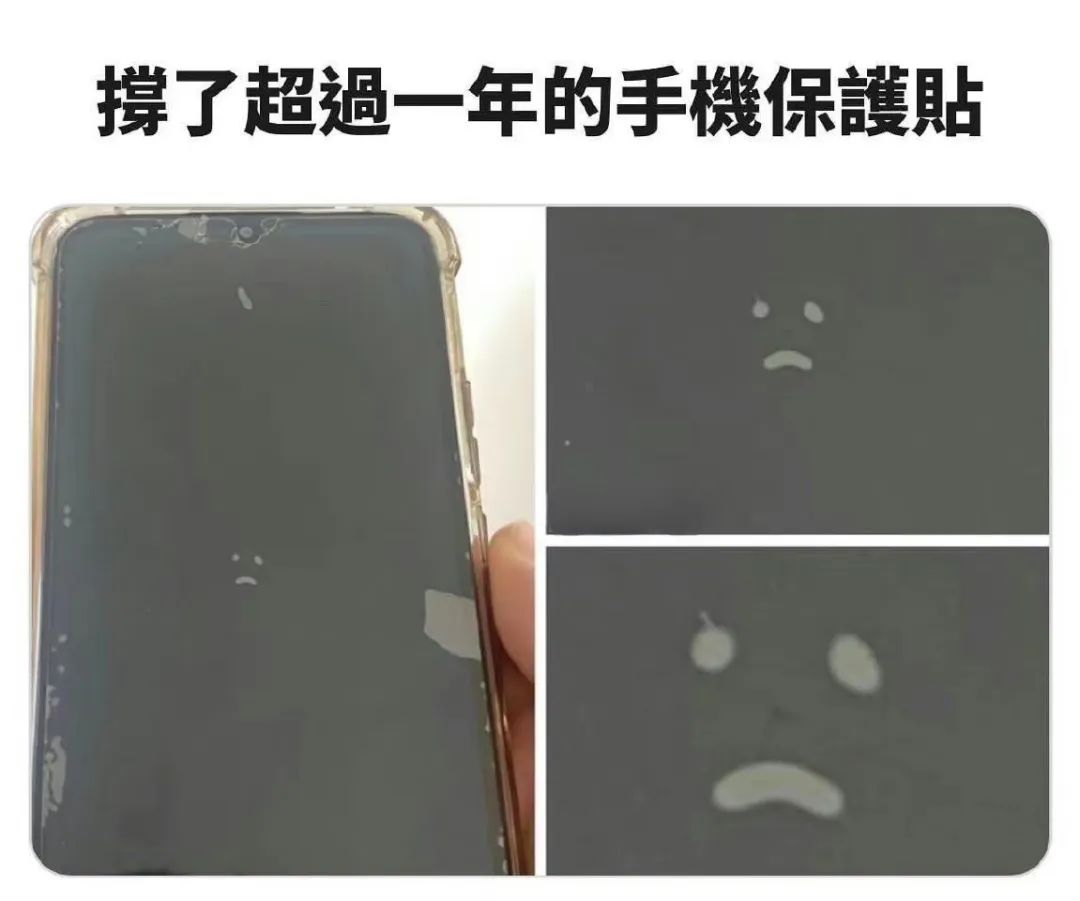 每日meme