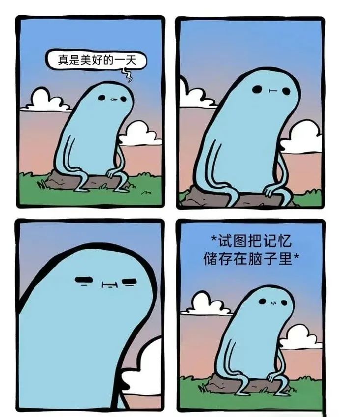 每日meme