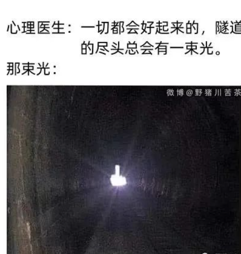 每日meme