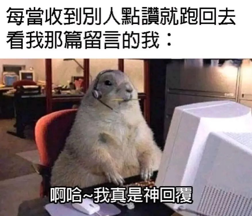 每日meme