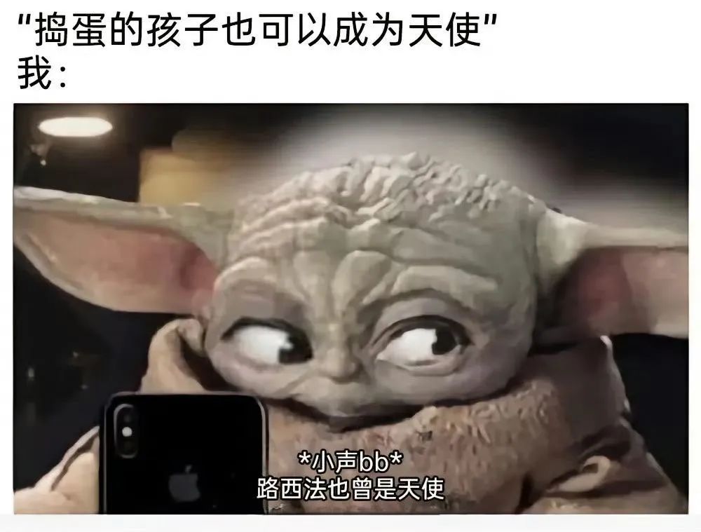 每日meme