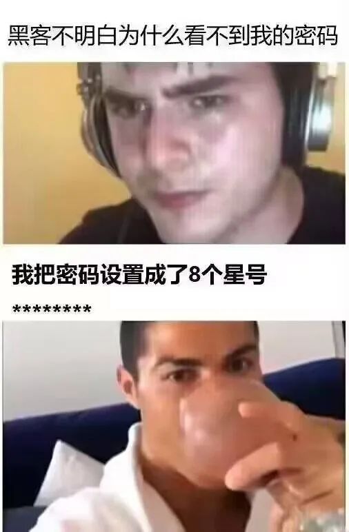 每日meme