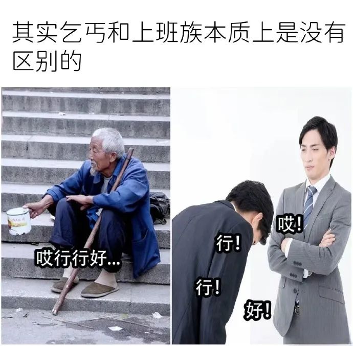 每日meme