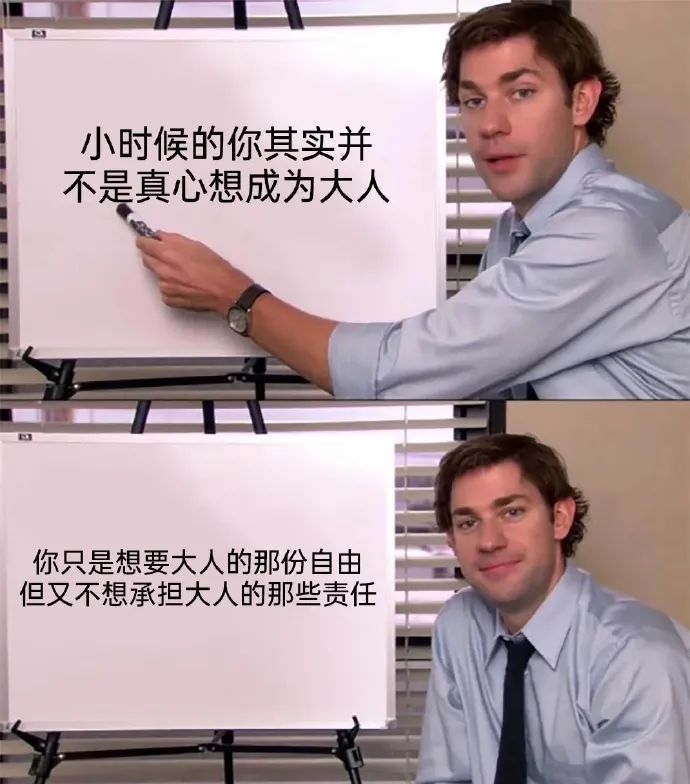 每日meme