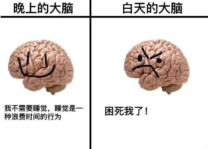 每日meme