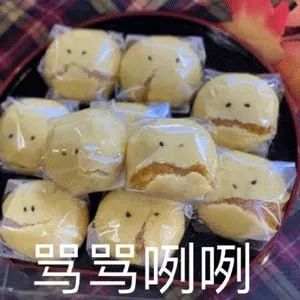 每日meme