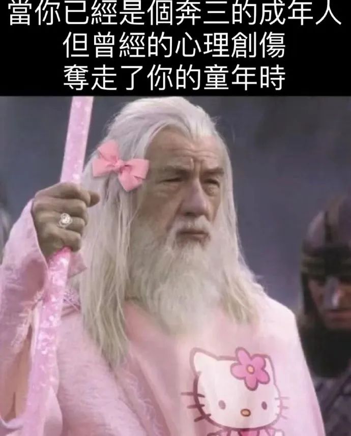 每日meme