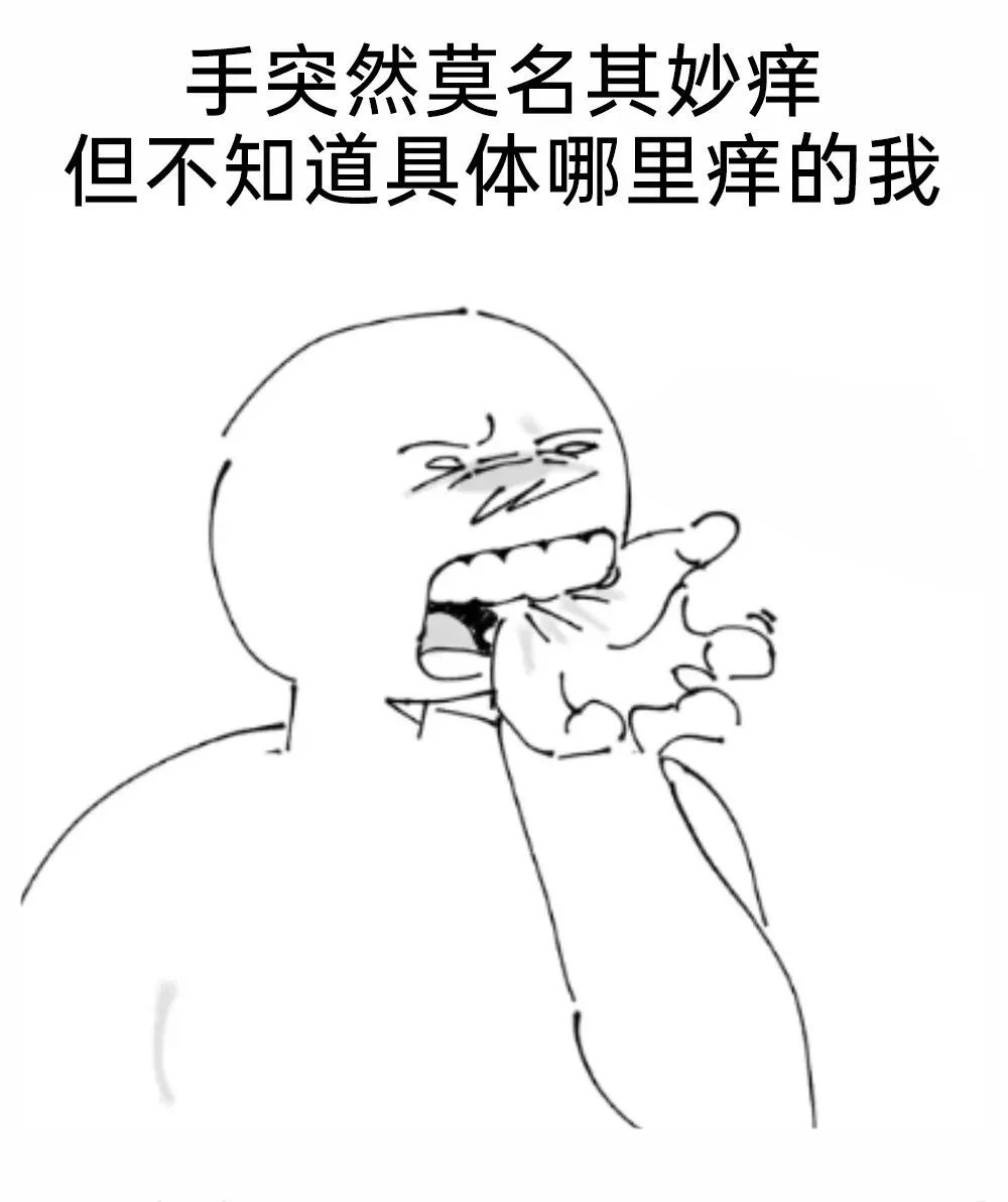 每日meme