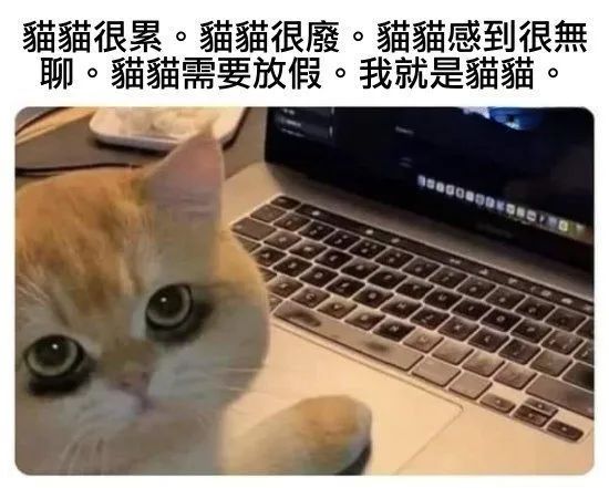 用户投稿