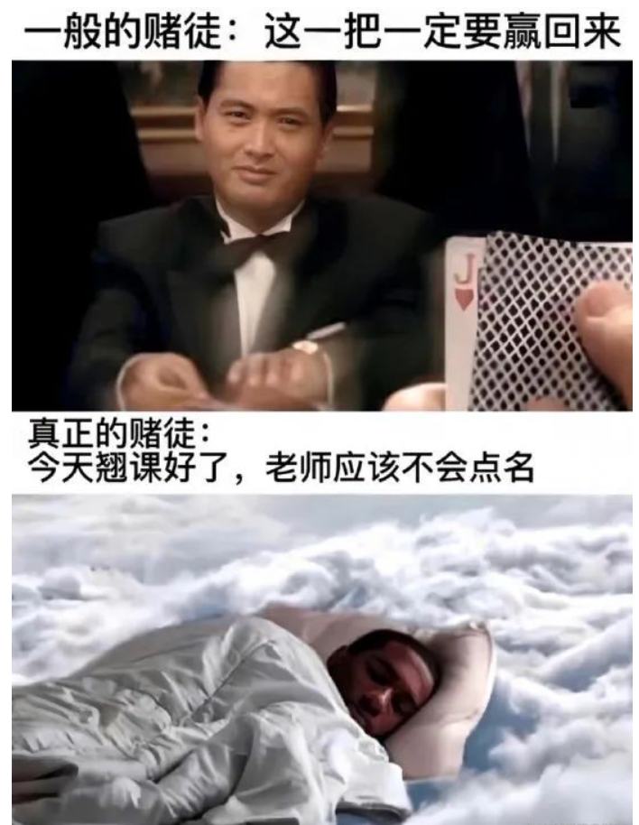 每日meme